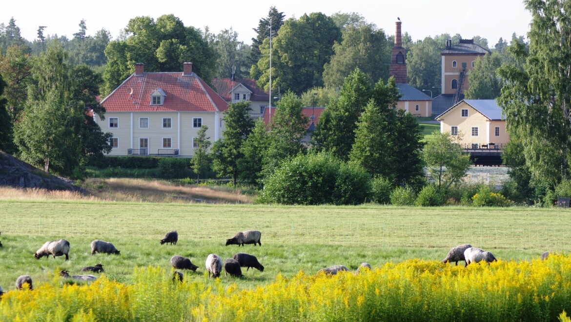 En äng med djur som betar. I bakgrunden står ett stort vitt hus.