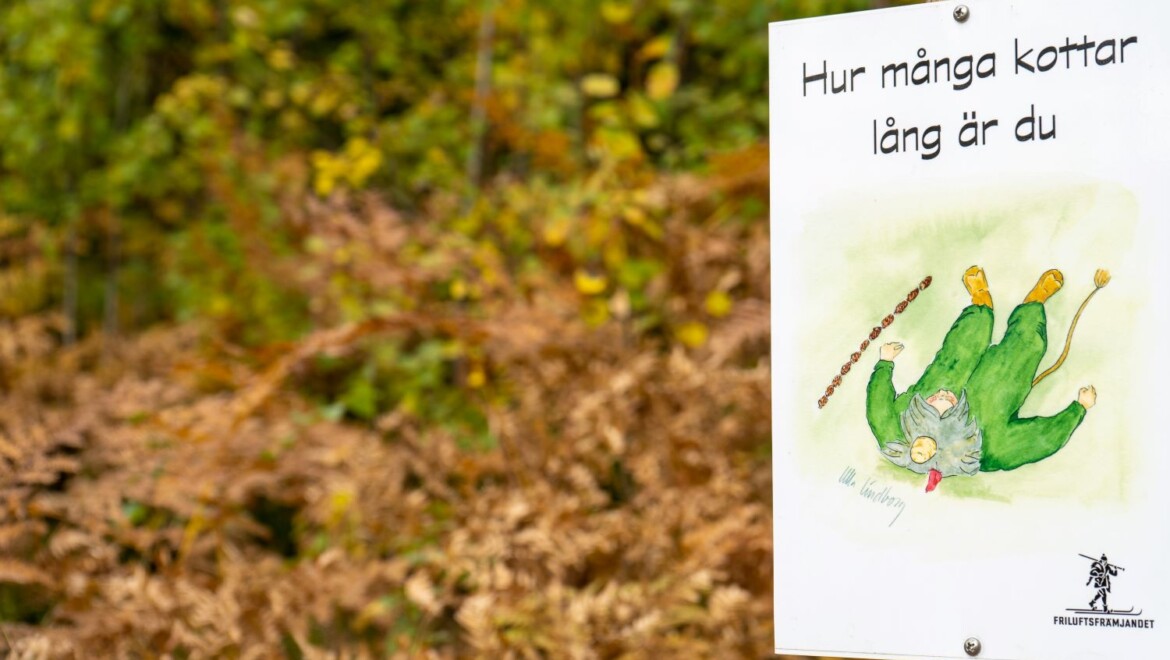 En skylt med information om barnvandring i skogen.