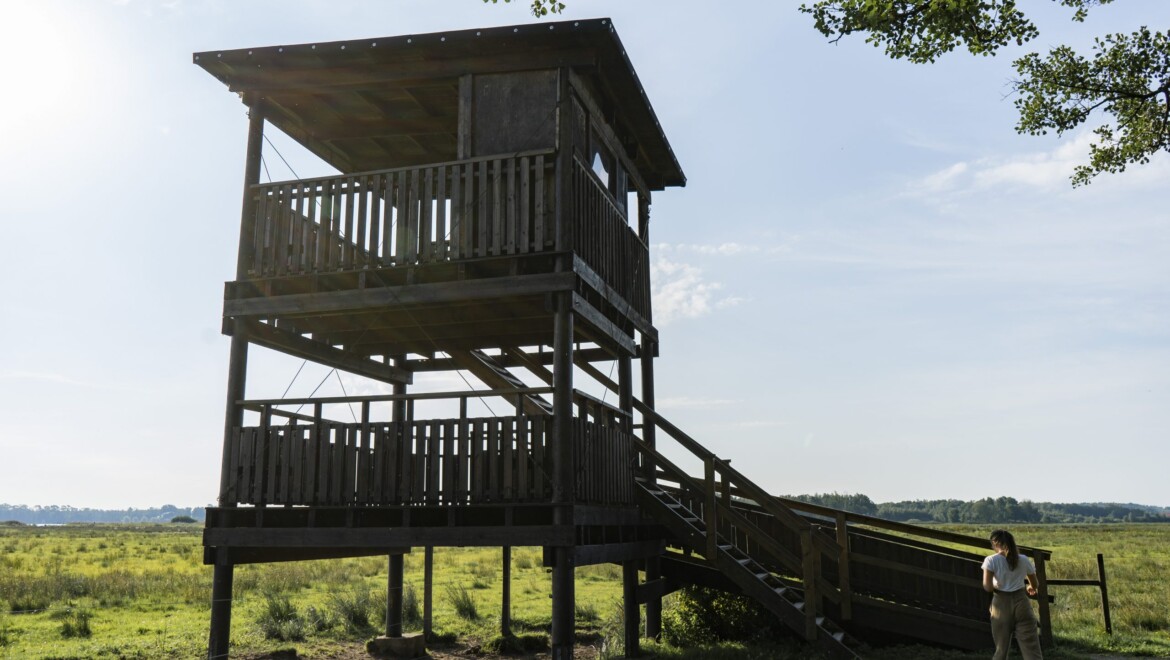 Ett fågeltorn i mörkt trä står framför en stor äng.