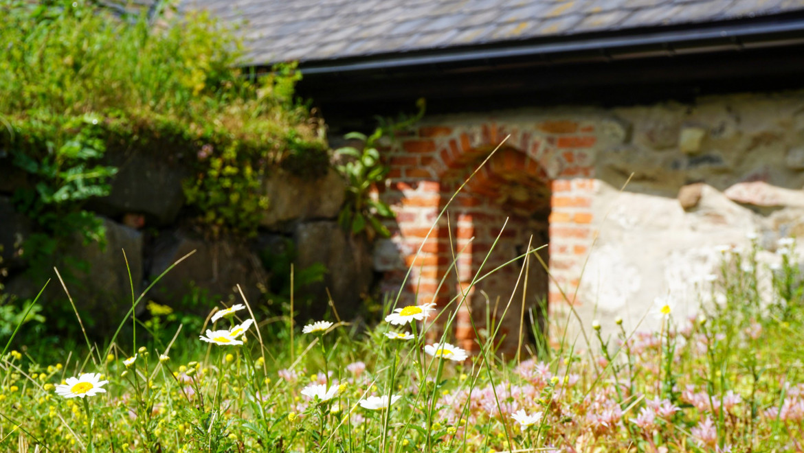 En portal till en byggnadsruin med ängsblommor och buskar som växer tätt intill.