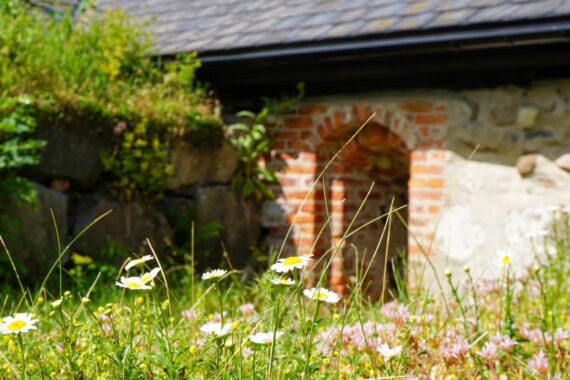 En portal till en byggnadsruin med ängsblommor och buskar som växer tätt intill.