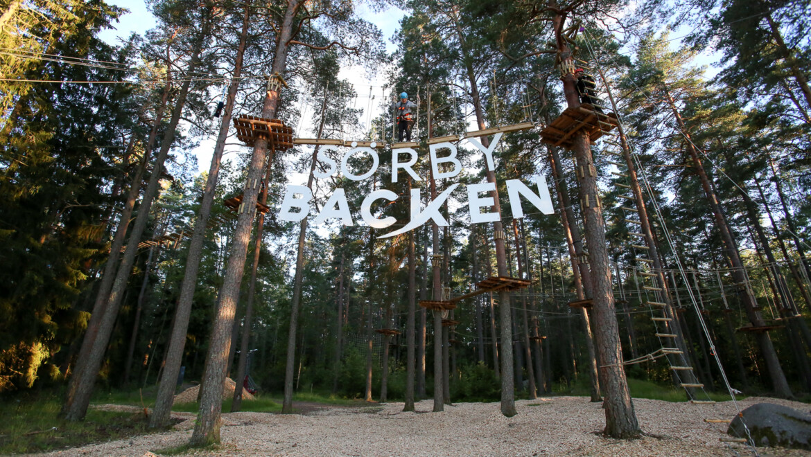 Sörbybacken i bokstäver mellan två tallar.