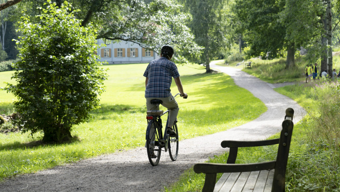 En äldre man cyklar på en grusväg som kantas av träd och gräsmattor.