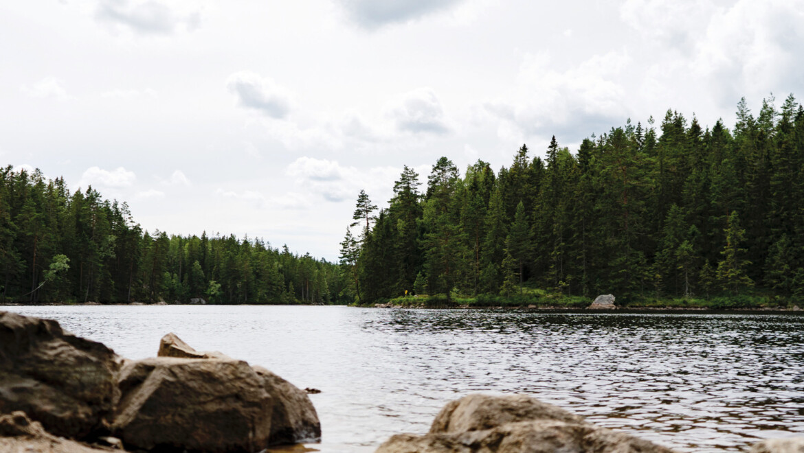 Badplats vid en skogssjö.