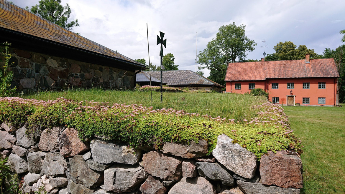 En portal till en byggnadsruin med ängsblommor och buskar som växer tätt intill.
