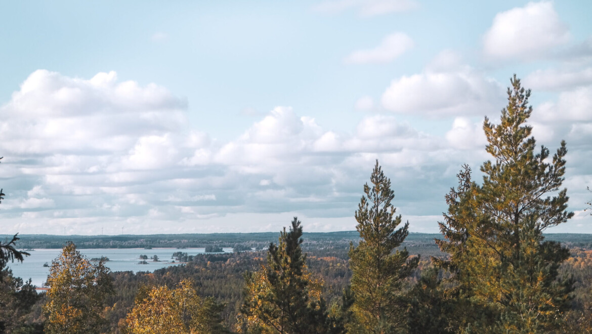 Utsikt över grantoppar och en sjö från Skåle klint.