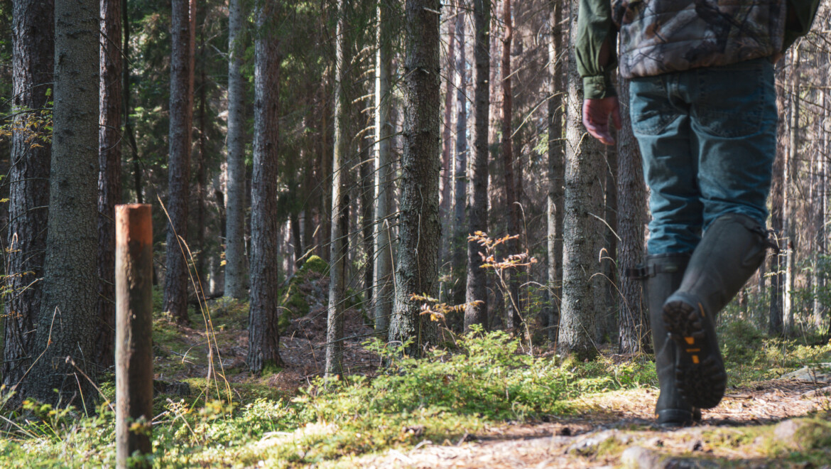En person i stövlar går på en vandringsled i skogen.