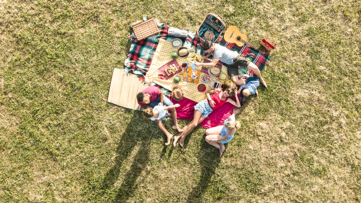 En grupp människor sitter på en filt på en gräsmatta med picknick och gitarr.