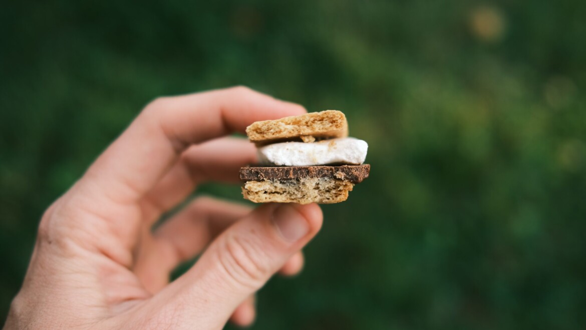 En hand som håller upp en s'mores