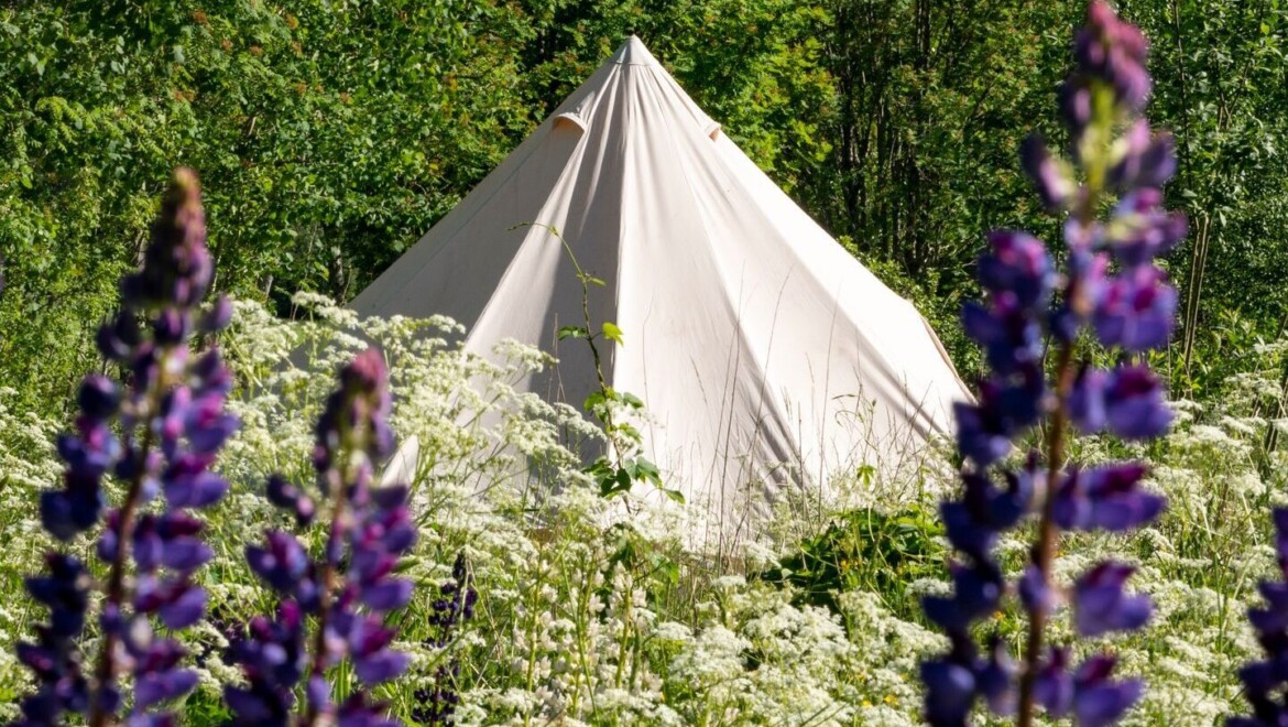 Ett vitt tält som står uppställt bland sommarblommor, precis intill en skog.
