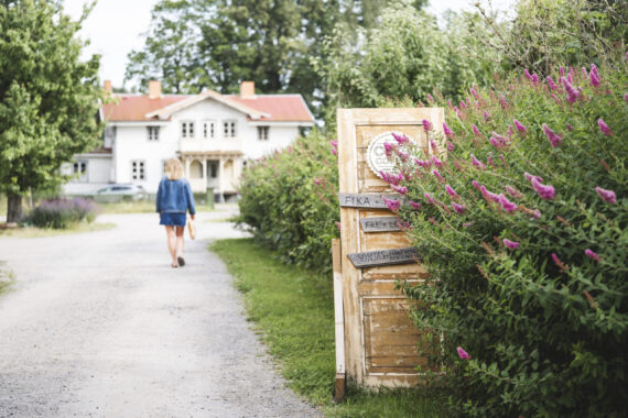 250711_lindbacka-bruk_6