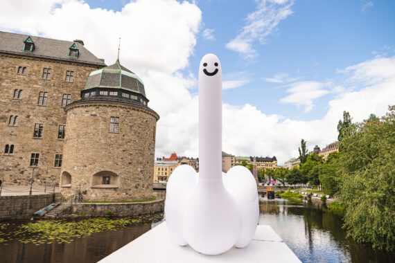 Swan thing