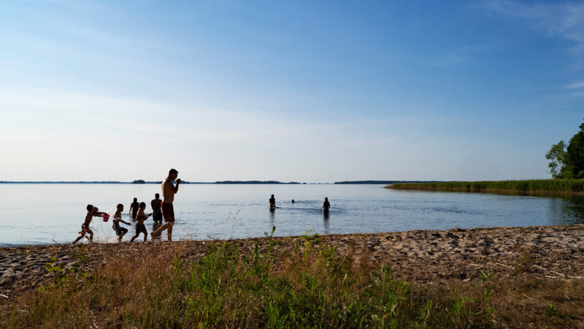 Gräs och sandstrand och silhuetter av barn och vuxna på strand och i vatten.
