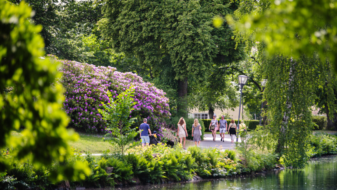Bild över blommiga Stadsparken där människor promenerar runt.