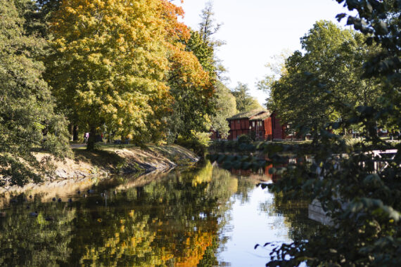 En å rinner bredvid en höstfärgade träd och röda timmerhus.