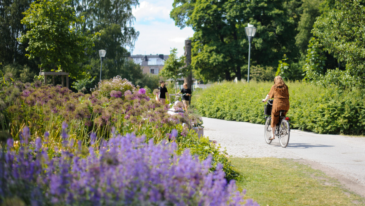En kvinna cyklar på en liten väg bland grönska och blommor.