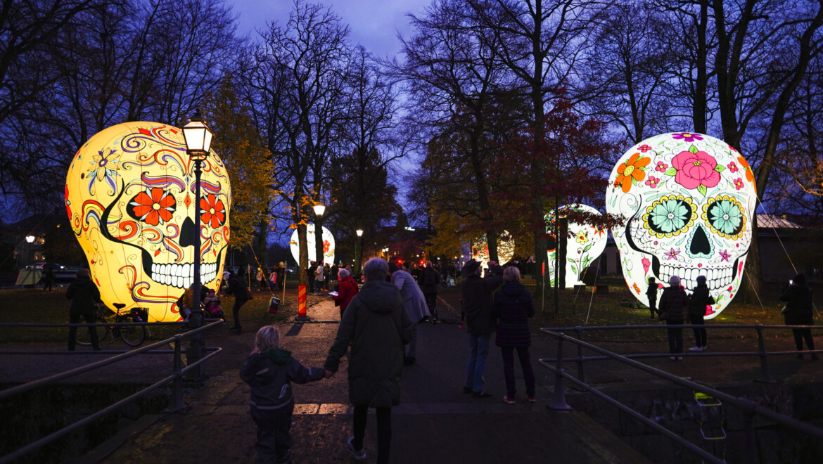 Många människor går på en gångväg genom en park. På sidorna står gigantiska dödskallar med olika färgglada mönster. Dödskallarna är upplysta. Det är mörkt ute.